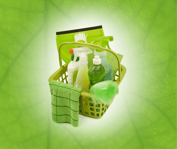 Use sempre produtos de limpeza biodegradáveis